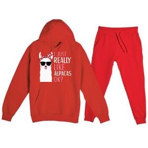 I Just Really Like Alpacas LLama Apparel Premium Hooded Sweatsuit Set