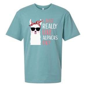 I Just Really Like Alpacas LLama Apparel Sueded Cloud Jersey T-Shirt