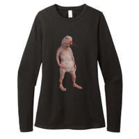 I Just Really Like Naked Moles Ok Funny Naked Mole Rat Womens CVC Long Sleeve Shirt