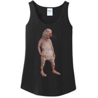 I Just Really Like Naked Moles Ok Funny Naked Mole Rat Ladies Essential Tank