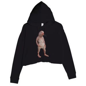 I Just Really Like Naked Moles Ok Funny Naked Mole Rat Crop Fleece Hoodie