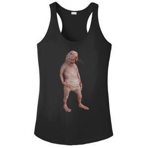 I Just Really Like Naked Moles Ok Funny Naked Mole Rat Ladies PosiCharge Competitor Racerback Tank