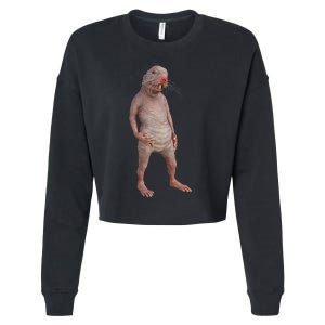 I Just Really Like Naked Moles Ok Funny Naked Mole Rat Cropped Pullover Crew