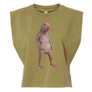 I Just Really Like Naked Moles Ok Funny Naked Mole Rat Garment-Dyed Women's Muscle Tee