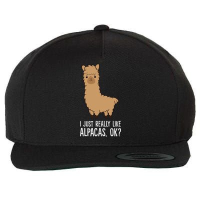 I Just Really Like Alpacas, OK Llama Alpaca Wool Snapback Cap