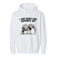 I Just Really Like Elephants Ok Love Elephants Meaningful Gift Garment-Dyed Fleece Hoodie