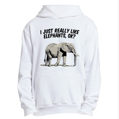 I Just Really Like Elephants Ok Love Elephants Meaningful Gift Urban Pullover Hoodie