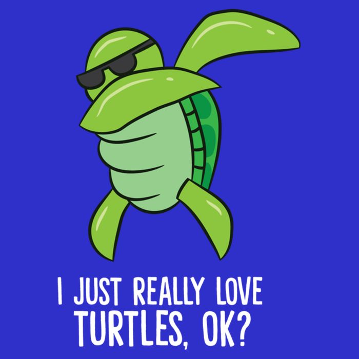 I Just Really Love Turtles Ok? Dabbing Turtle Gift Toddler T-Shirt
