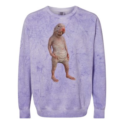 I Just Really Like Naked Moles Ok Funny Naked Mole Rat Colorblast Crewneck Sweatshirt