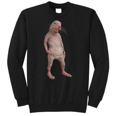 I Just Really Like Naked Moles Ok Funny Naked Mole Rat Sweatshirt