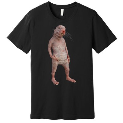 I Just Really Like Naked Moles Ok Funny Naked Mole Rat Premium T-Shirt