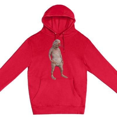 I Just Really Like Naked Moles Ok Funny Naked Mole Rat Premium Pullover Hoodie