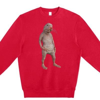 I Just Really Like Naked Moles Ok Funny Naked Mole Rat Premium Crewneck Sweatshirt