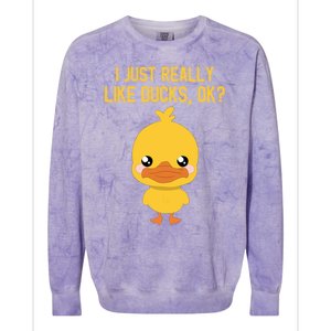 I Just Really Like Ducks Ok? Funny Cute Little Yellow Duck Gift Colorblast Crewneck Sweatshirt