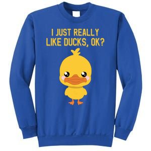 I Just Really Like Ducks Ok? Funny Cute Little Yellow Duck Gift Sweatshirt