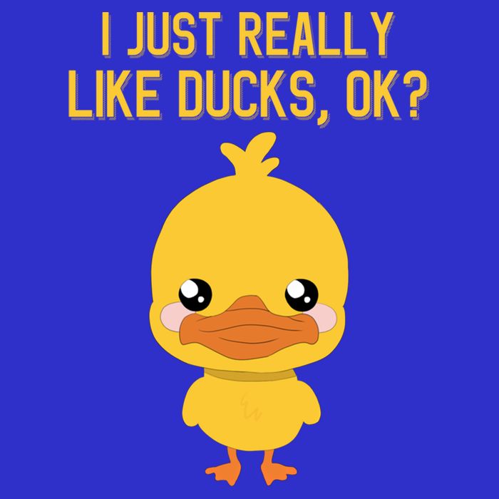 I Just Really Like Ducks Ok? Funny Cute Little Yellow Duck Gift 16 in Basic Backpack