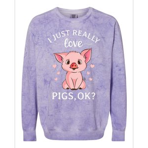 I Just Really Love Pigs Ok Hog Lover Cute Farmer Colorblast Crewneck Sweatshirt