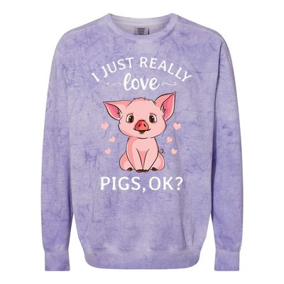 I Just Really Love Pigs Ok Hog Lover Cute Farmer Colorblast Crewneck Sweatshirt