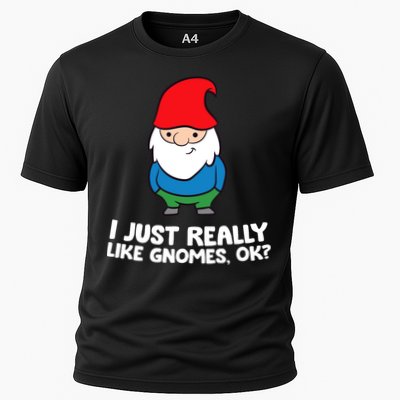 I Just Really Like Gnomes, Ok? Garden Gnome Premium Performance Shirt