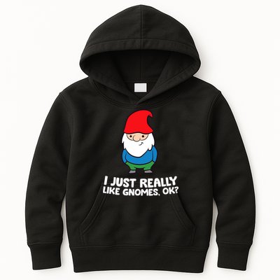 I Just Really Like Gnomes, Ok? Garden Gnome Premium Kids Hoodie