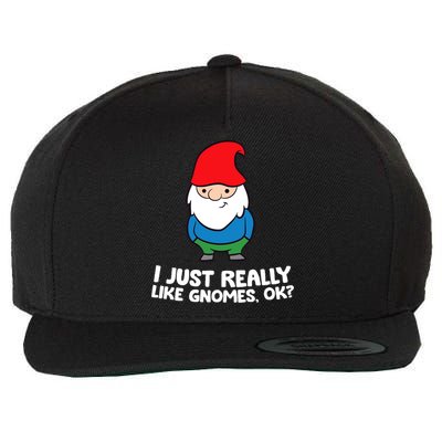 I Just Really Like Gnomes, Ok? Garden Gnome Premium Wool Snapback Cap