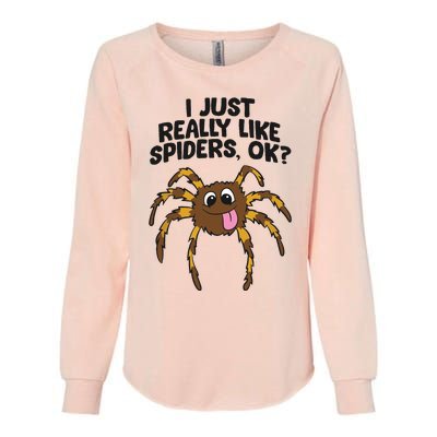 I Just Really Like Spiders Ok Love Spiders Womens California Wash Sweatshirt