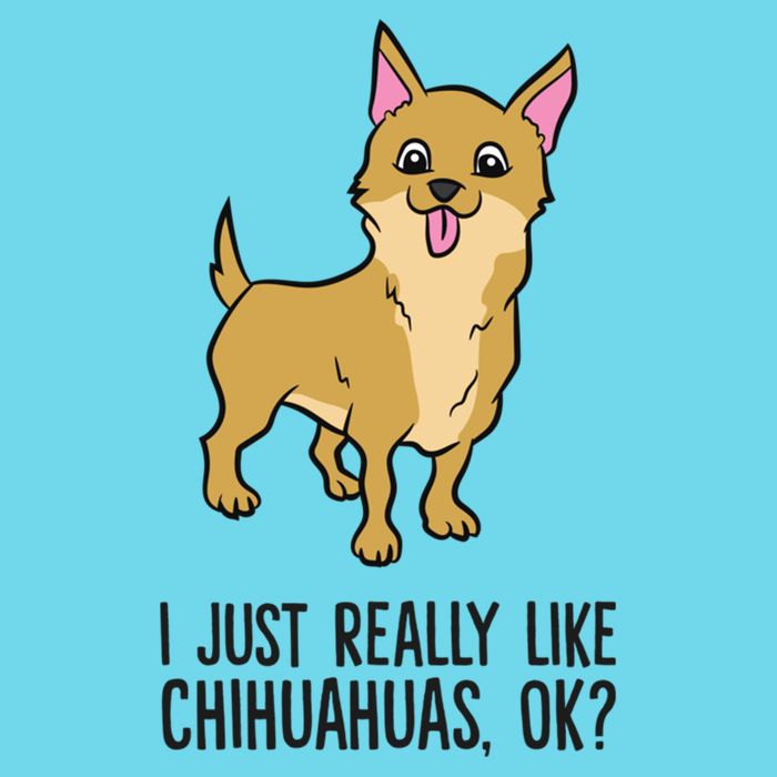 I Just Really Like Chihuahuas Ok? Cute Chihuahua Great Gift Premium T-Shirt