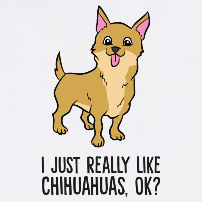 I Just Really Like Chihuahuas Ok? Cute Chihuahua Great Gift Cooling Performance Crew T-Shirt