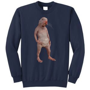 I Just Really Like Naked Moles Ok Funny Naked Mole Rat Sweatshirt