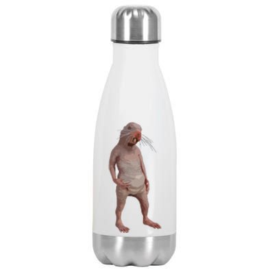 I Just Really Like Naked Moles Ok Funny Naked Mole Rat Stainless Steel Insulated Water Bottle