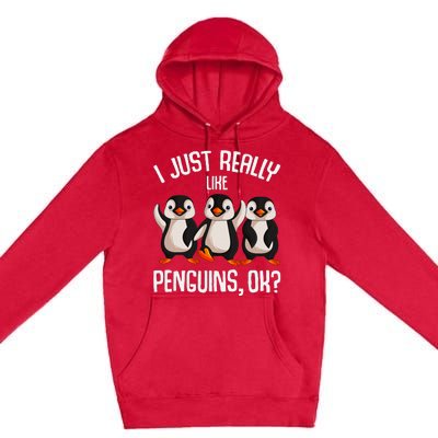 I Just Really Like Penguins Premium Pullover Hoodie