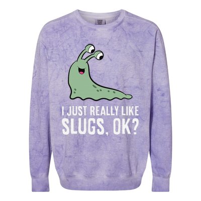 I Just Really Like Slugs Ok Funny Slug Colorblast Crewneck Sweatshirt