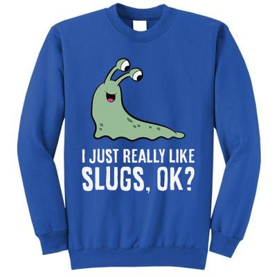 I Just Really Like Slugs Ok Funny Slug Sweatshirt