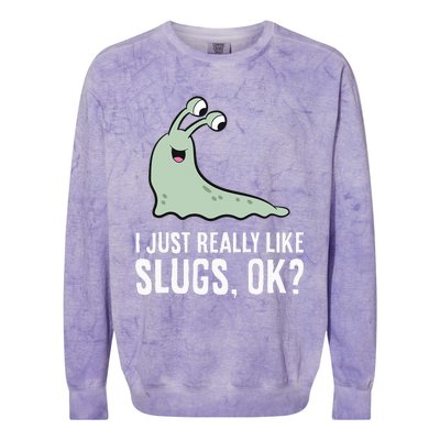 I Just Really Like Slugs Ok Funny Slug Colorblast Crewneck Sweatshirt