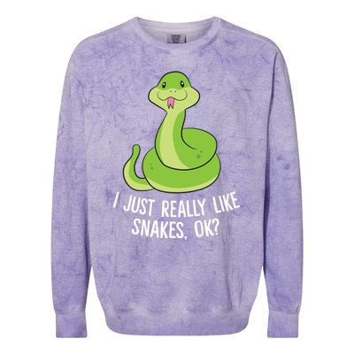 I Just Really Like Snakes Ok Funny Snake Reptile Python Funny Gift Colorblast Crewneck Sweatshirt