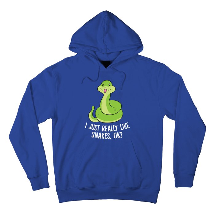 I Just Really Like Snakes Ok Funny Snake Reptile Python Funny Gift Hoodie