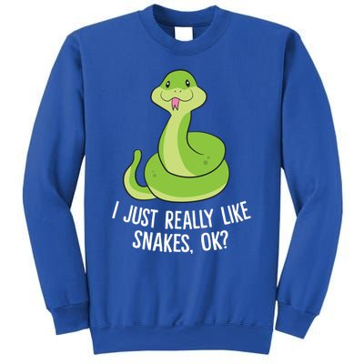 I Just Really Like Snakes Ok Funny Snake Reptile Python Funny Gift Sweatshirt