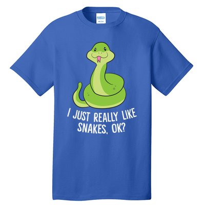 I Just Really Like Snakes Ok Funny Snake Reptile Python Funny Gift Tall T-Shirt