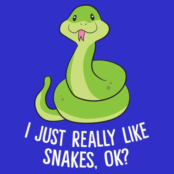 I Just Really Like Snakes Ok Funny Snake Reptile Python Funny Gift 16 in Basic Backpack