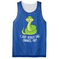 I Just Really Like Snakes Ok Funny Snake Reptile Python Funny Gift Mesh Reversible Basketball Jersey Tank