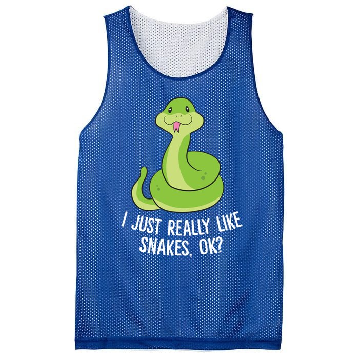 I Just Really Like Snakes Ok Funny Snake Reptile Python Funny Gift Mesh Reversible Basketball Jersey Tank