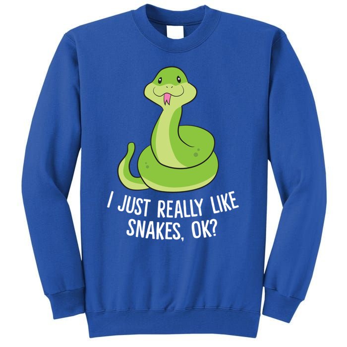 I Just Really Like Snakes Ok Funny Snake Reptile Python Funny Gift Tall Sweatshirt