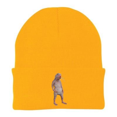 I Just Really Like Naked Moles Ok Funny Naked Mole Rat Knit Cap Winter Beanie