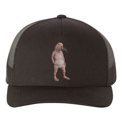 I Just Really Like Naked Moles Ok Funny Naked Mole Rat Yupoong Adult 5-Panel Trucker Hat