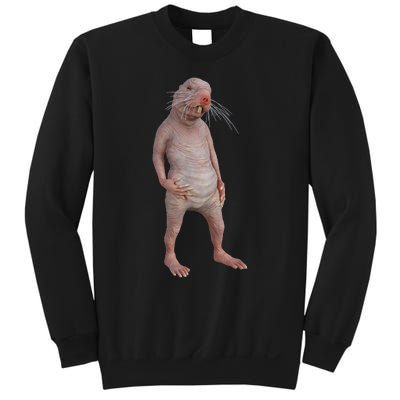 I Just Really Like Naked Moles Ok Funny Naked Mole Rat Sweatshirt