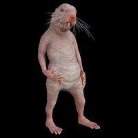 I Just Really Like Naked Moles Ok Funny Naked Mole Rat Mug