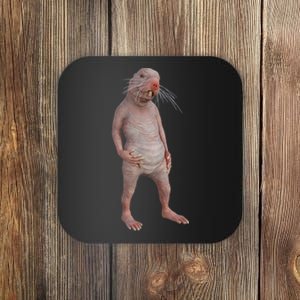 I Just Really Like Naked Moles Ok Funny Naked Mole Rat Coaster