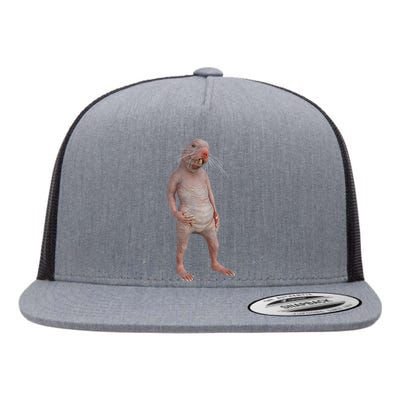 I Just Really Like Naked Moles Ok Funny Naked Mole Rat Flat Bill Trucker Hat