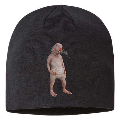 I Just Really Like Naked Moles Ok Funny Naked Mole Rat Sustainable Beanie