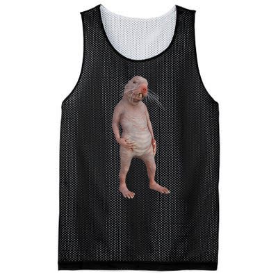 I Just Really Like Naked Moles Ok Funny Naked Mole Rat Mesh Reversible Basketball Jersey Tank